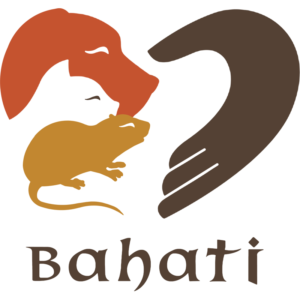 pro bono - fundacja bahati